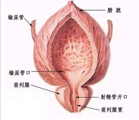 外阴瘙痒给女性带来的困扰