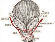 女性生殖器结核是怎么回事？