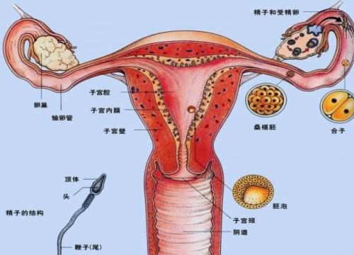 三度宫颈糜烂怎么办