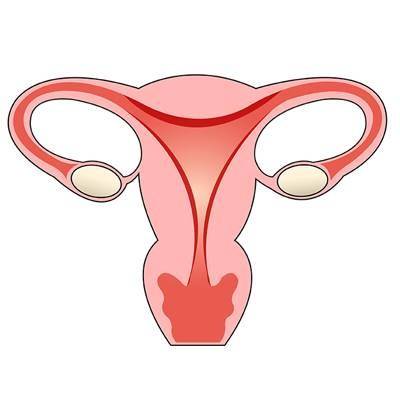 女性宫颈性不孕有哪些症状