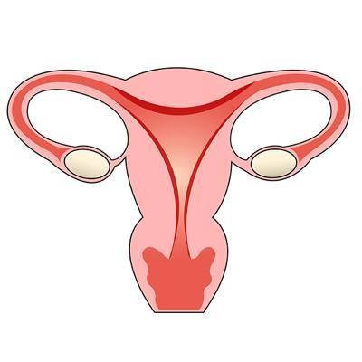 女性宫颈性不孕有哪些症状