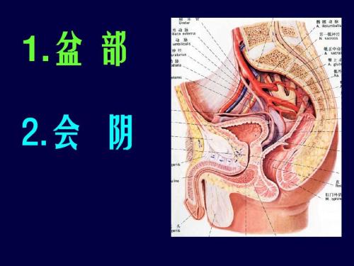 做女人更加好看的会阴整形