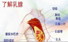 淮安治乳腺囊肿医院 你是易患人群吗?