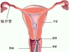 [费用]淮安妇科常规检查多少钱?妇科检查包括哪些项目?
