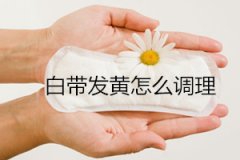白带发黄怎么调理 调理异常白带的方法