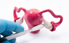 淮安子宫肌瘤手术多少钱？子宫息肉和子宫肌瘤有什么区别？