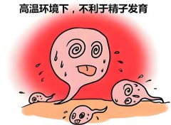 打十年飞机还能生育吗