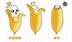 男性生殖整形手术有哪些
