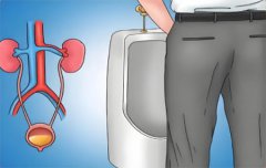 男人那方面不行的原因