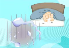 男人早射精液怎么恢复正常