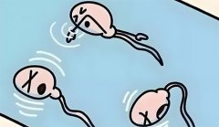 男性生育功能检查什么项目