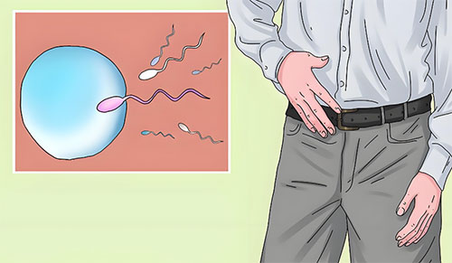 弱精症能治愈吗几率多大