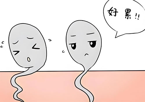 精子活力多少正常