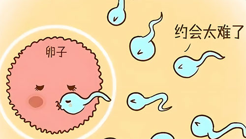 弱精症能不能治好