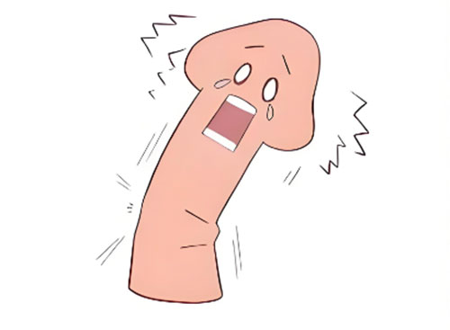 丁丁弯曲可以变直吗