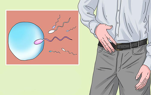 男人精少弱精怎么调理