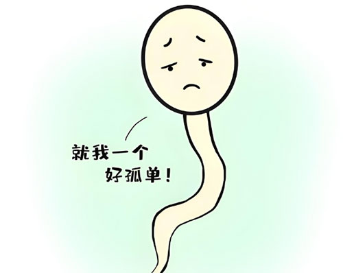 少精症怎么调理能恢复正常