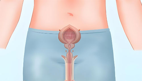 龟头上脱皮是什么病的前兆