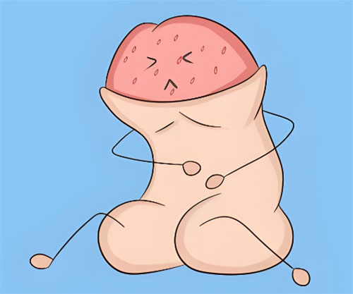 龟头上长了小痘痘不痛不痒怎么办