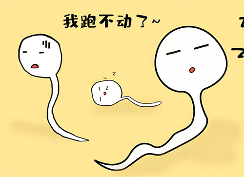 弱精症多久可以调理回来