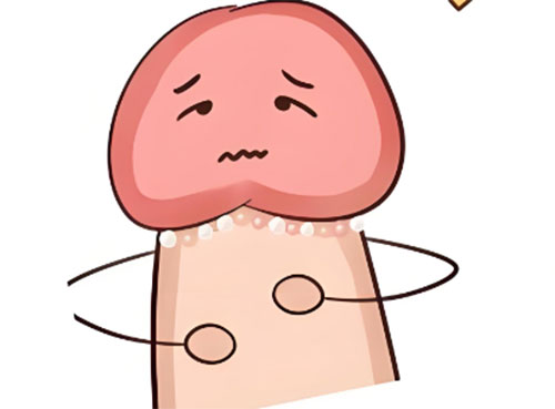 龟头周围有一圈小点点正常吗