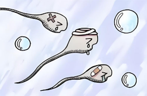 死精症有什么临床表现