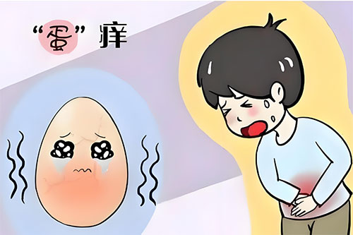 睾丸痒痒越抓越痒怎么回事