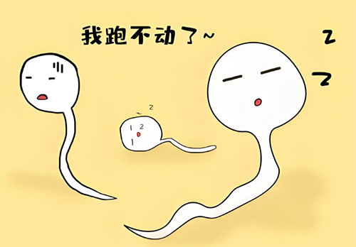 精液质量差是什么原因