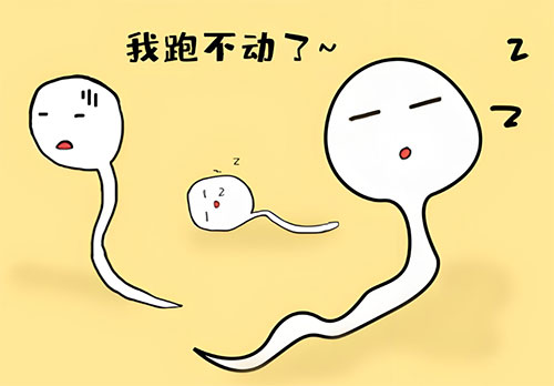 弱精一般多久可怀孕