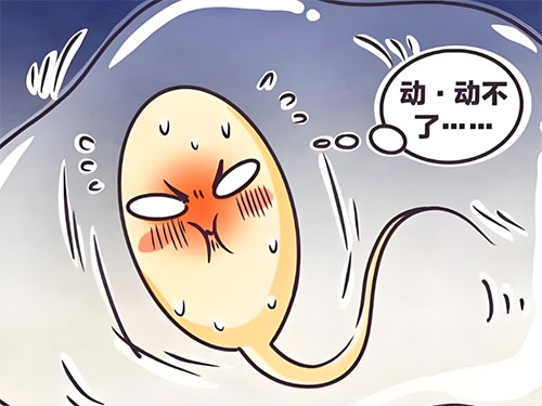 精不液化能生育吗