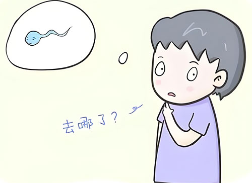 少精症可以生育吗
