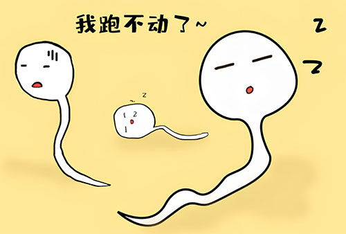 弱精症的五大表现是什么