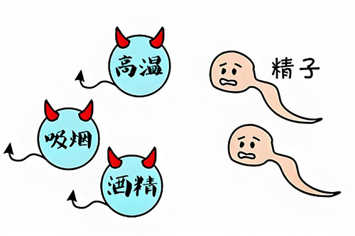 精质量好不好怎么判断