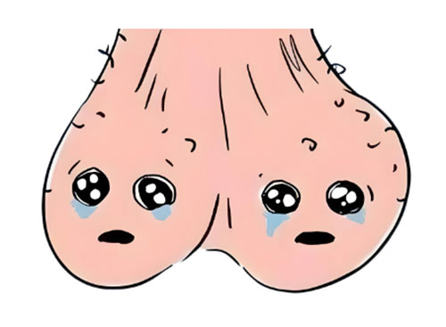 阴囊上长了小疙瘩很痒怎么回事
