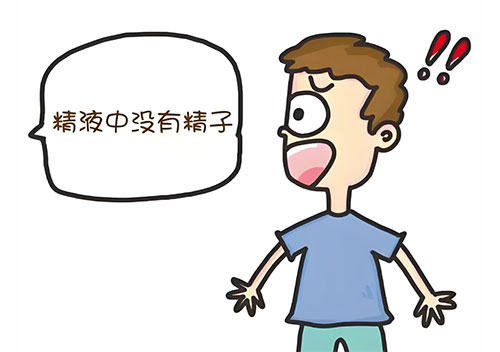 男子无精能生育吗