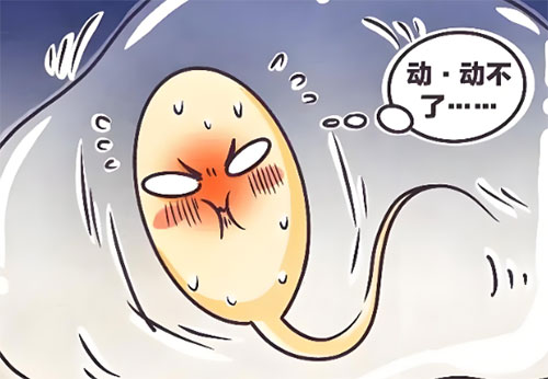 精不液化吃什么药能治好