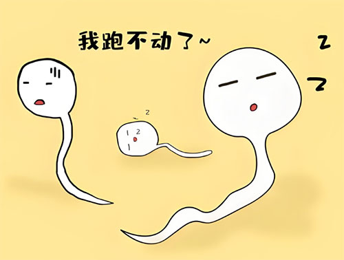 精活力多少才正常