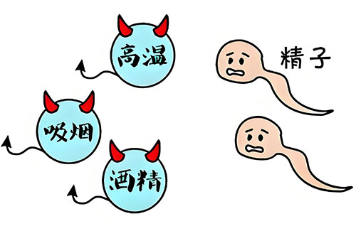 精质量好坏怎么看