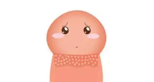 冠状沟有小白疙瘩是什么