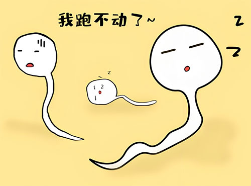 弱精症能治好吗能生育吗
