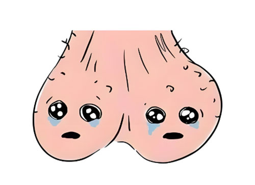 睾丸里面有个硬疙瘩是怎么回事