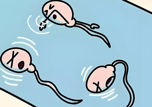 畸形精症怀孕了影响胎儿吗