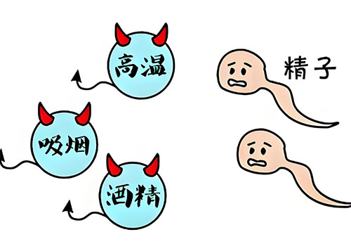 精质量怎么检查多少钱