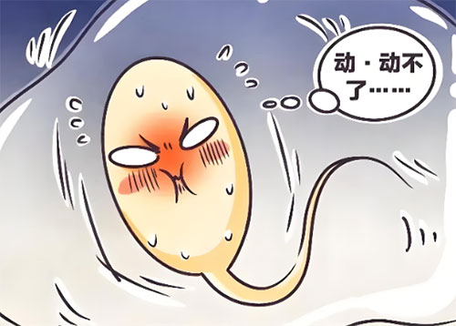 精不液化可以怀孕吗