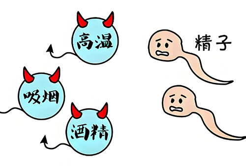 精质量检查多久出结果
