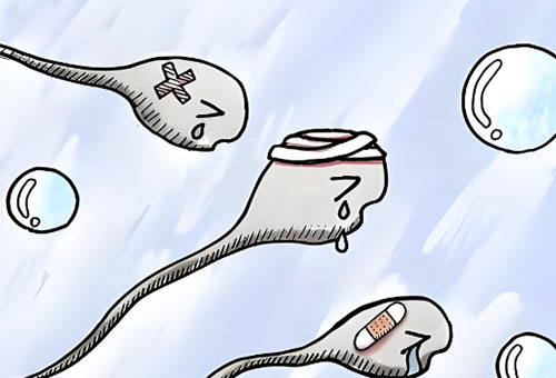 精活力低于多少不会怀孕