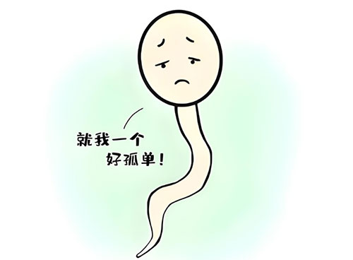 少精症会影响生育吗