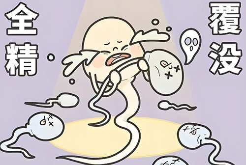 死精症可不可以怀孕