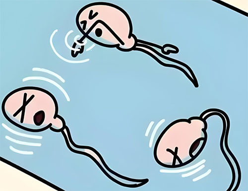 畸形精症能自然怀孕吗