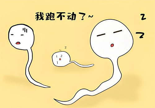 精活力低是炎症引起的吗